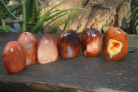 Polished Carnelian Agate Standing Free Forms  x 6 From Madagascar - Toprock Gemstones and Minerals 
