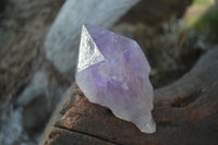 Natural Single Jacaranda Amethyst Crystals x 12 From Zambia - Toprock Gemstones and Minerals 