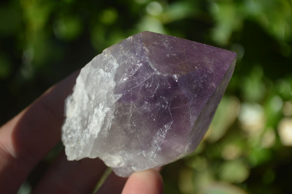 Natural Single Jacaranda Amethyst Crystals x 12 From Zambia - Toprock Gemstones and Minerals 