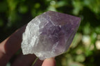 Natural Single Jacaranda Amethyst Crystals x 12 From Zambia - Toprock Gemstones and Minerals 
