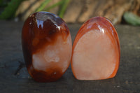 Polished Carnelian Agate Standing Free Forms  x 6 From Madagascar - Toprock Gemstones and Minerals 