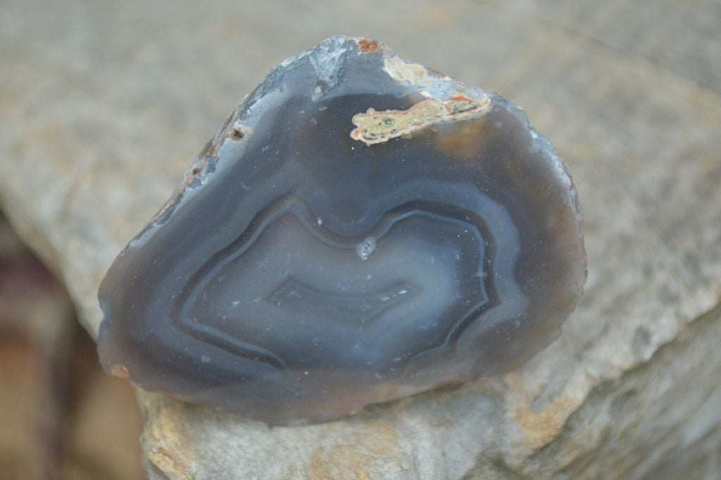 Polished Red River Agate Nodules  x 13 From Sashe River, Zimbabwe - Toprock Gemstones and Minerals 