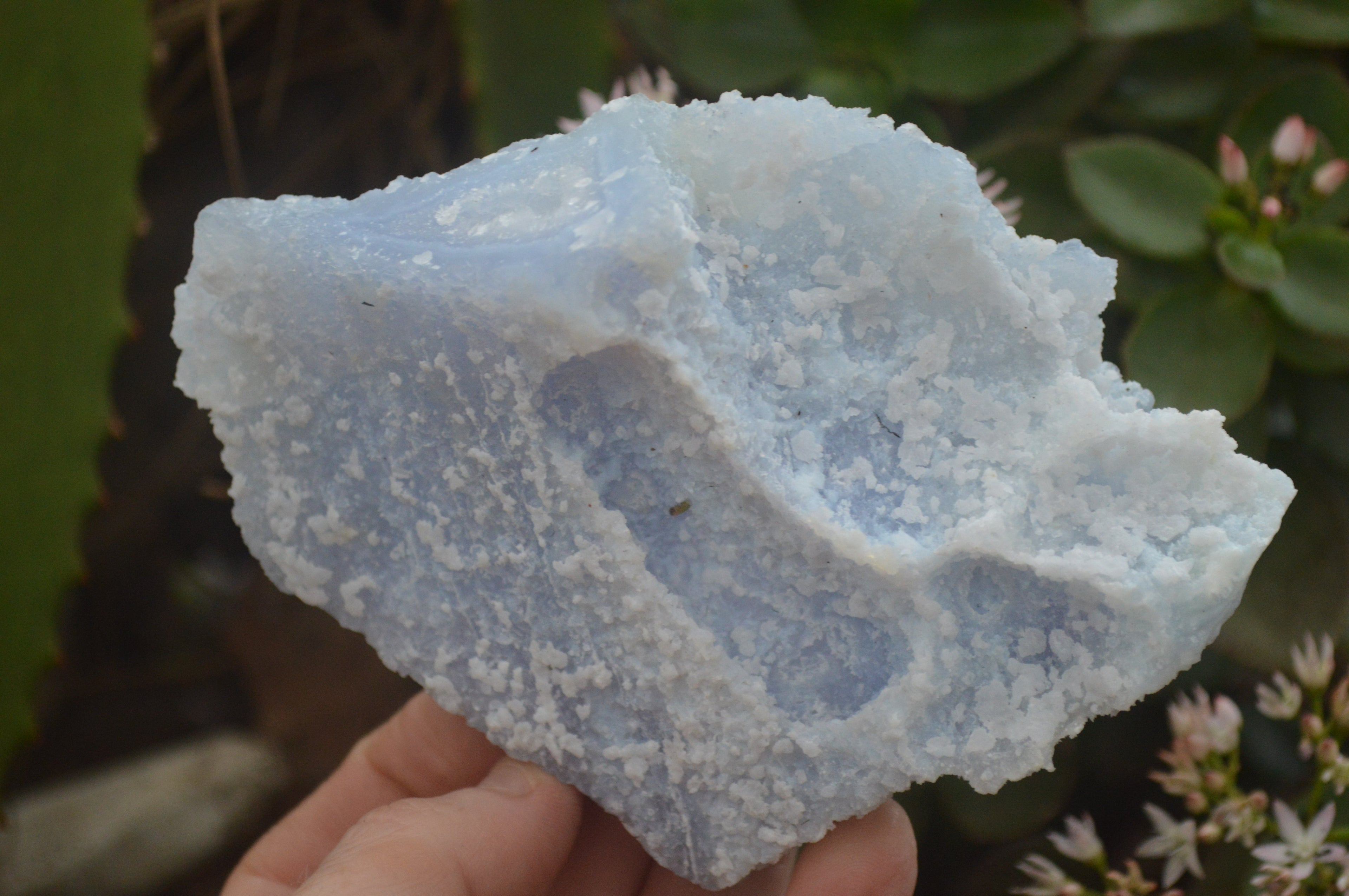 Natural Etched Blue Chalcedony Specimens  x 4 From Nsanje, Malawi - Toprock Gemstones and Minerals 