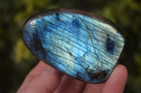 Polished Labradorite Standing Free Forms  x 6 From Tulear, Madagascar - Toprock Gemstones and Minerals 