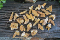 Natural Golden Limonite Solar Spirit Quartz Clusters / Crystals  x 35 From Boekenhouthoek, South Africa - Toprock Gemstones and Minerals 