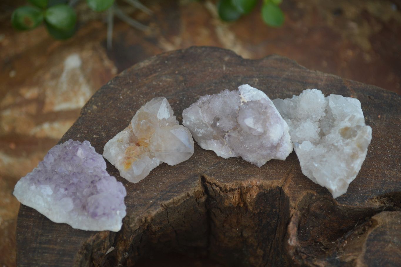 Natural Small Mixed Spirit Quartz Specimens  x 35 From Boekenhouthoek, South Africa - Toprock Gemstones and Minerals 