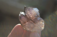 Natural Smokey Skeletal Amethyst Crystals  x 6 From Chiredzi, Zimbabwe - Toprock Gemstones and Minerals 