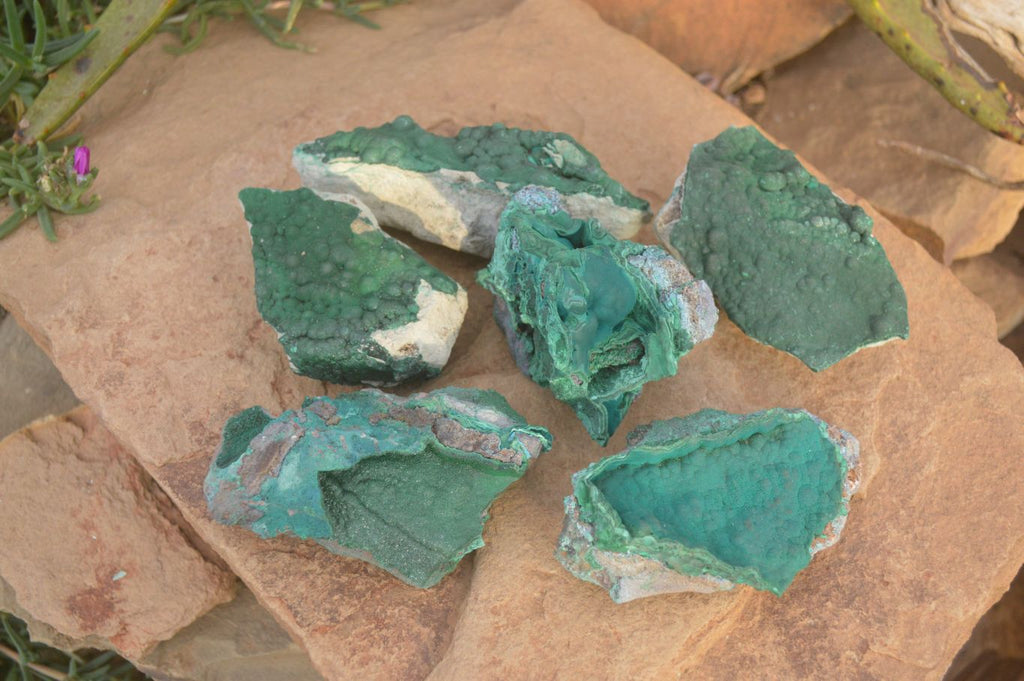 Natural Crystalline Micro Botryoidal Malachite Specimens  x 6 From Congo - Toprock Gemstones and Minerals 