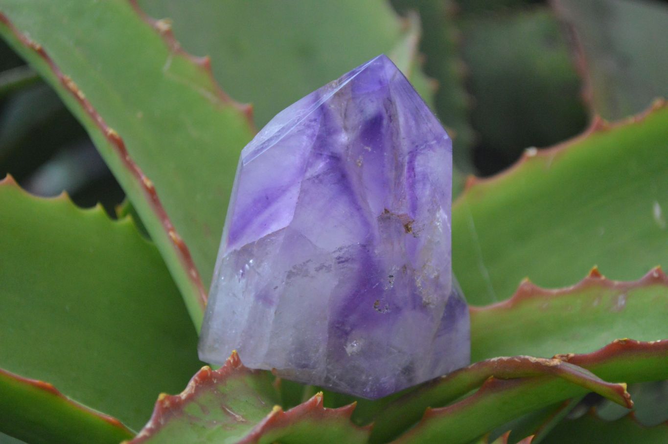 Polished Window Amethyst Quartz Points x 6 From Ankazobe, Madagascar - Toprock Gemstones and Minerals 