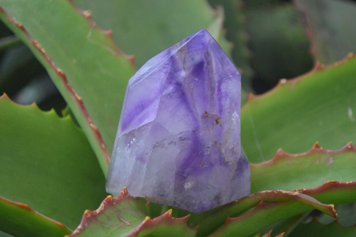 Polished Window Amethyst Quartz Points x 6 From Ankazobe, Madagascar - Toprock Gemstones and Minerals 