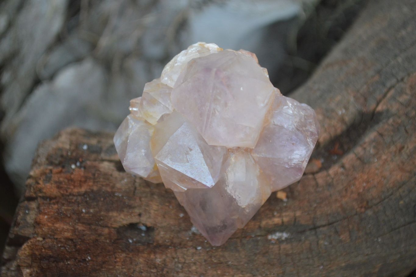 Natural Mixed Spirit Quartz Clusters  x 12 From Boekenhouthoek, South Africa - Toprock Gemstones and Minerals 