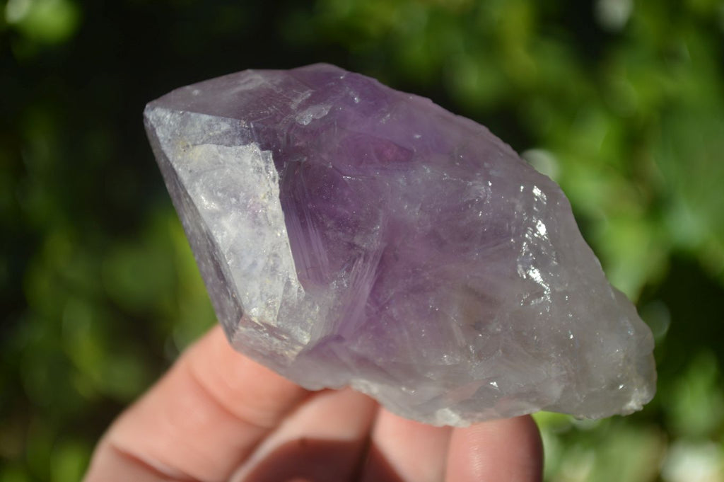 Natural Single Jacaranda Amethyst Crystals x 12 From Zambia - Toprock Gemstones and Minerals 