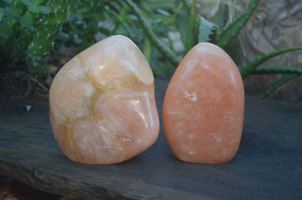 Polished Orange Twist Calcite Standing Free Forms  x 2 From Maevantanana, Madagascar - Toprock Gemstones and Minerals 