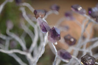 Hand Made Amethyst Gemstone Art Baobab Tree  x 1 From South Africa - Toprock Gemstones and Minerals 
