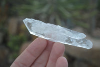 Natural Single Clear Quartz Crystals x 35 From Mpika, Zambia - Toprock Gemstones and Minerals 