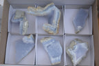 Natural Blue Lace Agate Geode Specimens x 6 From Nsanje, Malawi - Toprock Gemstones and Minerals 