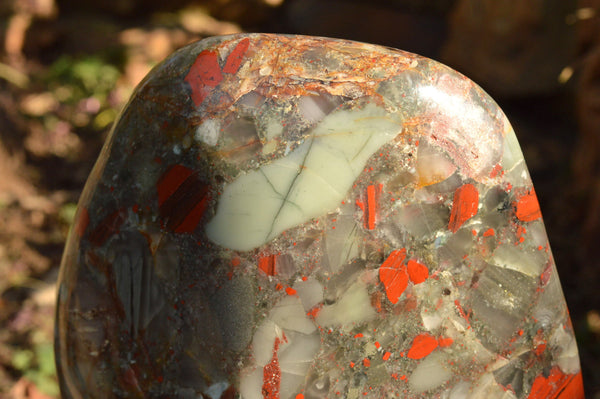 Polished XXL Bloodstone (Seftonite) Standing Free Form With Pyrite Specks  x 1 From Swaziland - TopRock