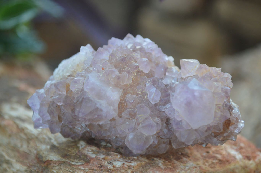 Natural Mixed Spirit Quartz Clusters  x 12 From Boekenhouthoek, South Africa - Toprock Gemstones and Minerals 