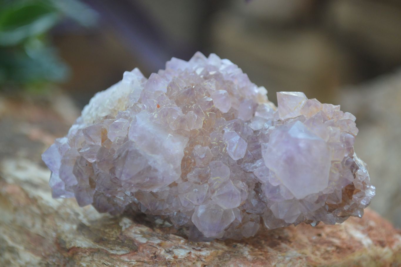 Natural Mixed Spirit Quartz Clusters  x 12 From Boekenhouthoek, South Africa - Toprock Gemstones and Minerals 