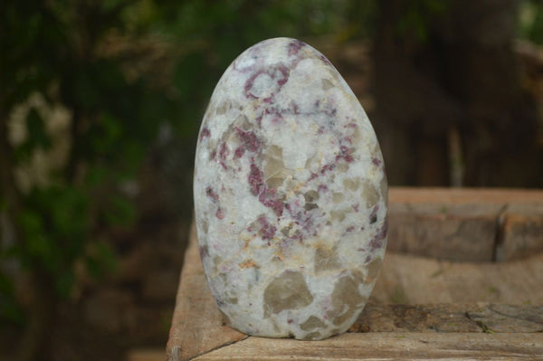 Polished Rubellite Pink Tourmaline Standing Free Form  x 1 From Ambatondrazaka, Madagascar - Toprock Gemstones and Minerals 