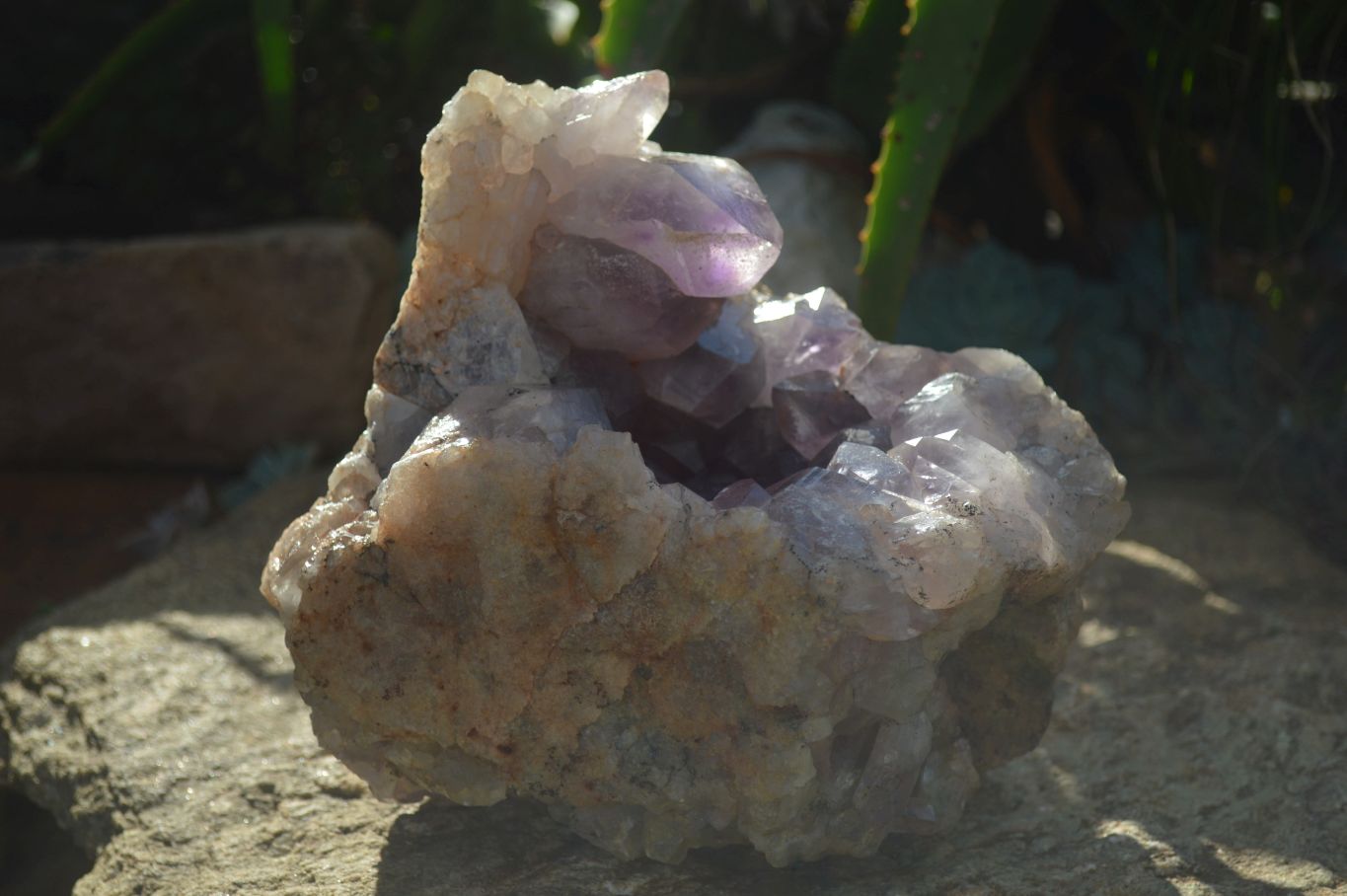 Natural Jacaranda Amethyst Cluster x 1 From Mumbwa, Zambia - TopRock