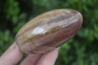 Polished Petrified Wood Standing Free Forms  x 4 From Madagascar - Toprock Gemstones and Minerals 