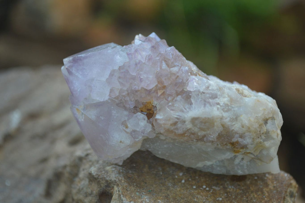 Natural Mixed Spirit Quartz Clusters  x 12 From Boekenhouthoek, South Africa - Toprock Gemstones and Minerals 