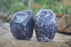 Polished Purple Lepidolite Free Forms  x 3 From Zimbabwe - Toprock Gemstones and Minerals 