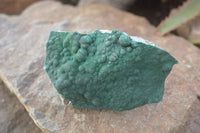 Natural Crystalline Micro Botryoidal Malachite Specimens  x 6 From Congo - Toprock Gemstones and Minerals 