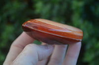 Polished Carnelian Agate Standing Free Forms  x 6 From Madagascar - Toprock Gemstones and Minerals 