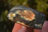 Polished Labradorite Standing Free Forms  x 6 From Tulear, Madagascar - Toprock Gemstones and Minerals 