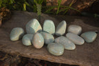 Polished Amazonite Free Forms  x 12 From Zimbabwe - Toprock Gemstones and Minerals 