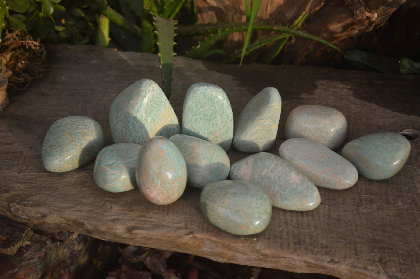 Polished Amazonite Free Forms  x 12 From Zimbabwe - Toprock Gemstones and Minerals 