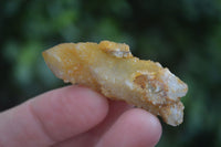 Natural Golden Limonite Solar Spirit Quartz Clusters / Crystals  x 35 From Boekenhouthoek, South Africa - Toprock Gemstones and Minerals 