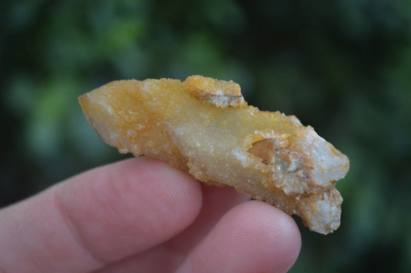 Natural Golden Limonite Solar Spirit Quartz Clusters / Crystals  x 35 From Boekenhouthoek, South Africa - Toprock Gemstones and Minerals 