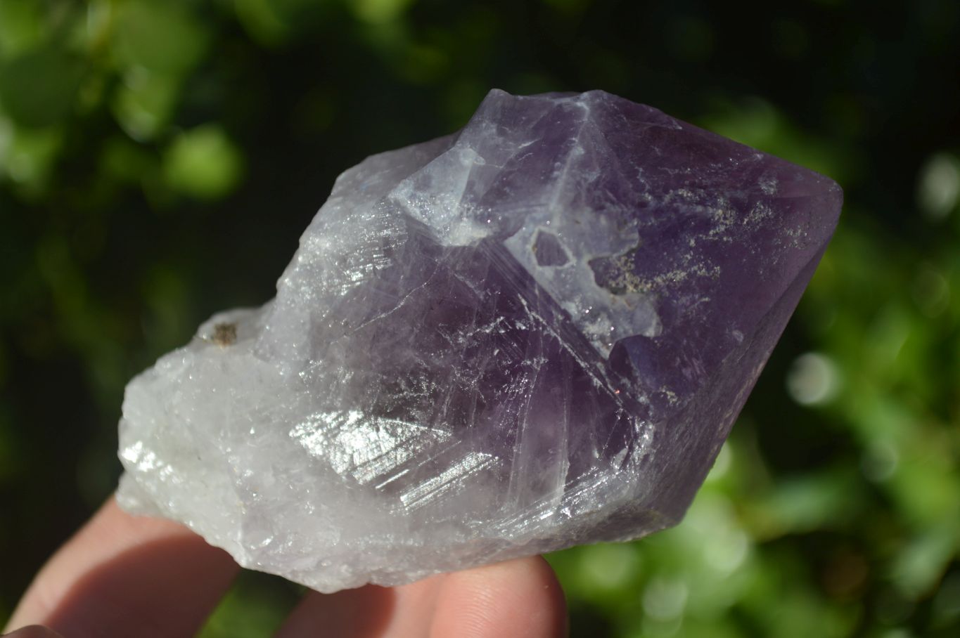 Natural Single Jacaranda Amethyst Crystals x 12 From Zambia - Toprock Gemstones and Minerals 