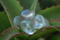 Polished Small Semi Optic Rock Crystal Galet / Palm Stones x 70 From Madagascar - Toprock Gemstones and Minerals 
