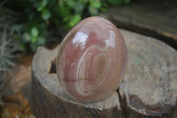 Polished Petrified Wood Standing Free Forms  x 4 From Madagascar - Toprock Gemstones and Minerals 