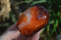 Polished Carnelian Agate Standing Free Forms  x 6 From Madagascar - Toprock Gemstones and Minerals 