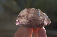 Natural Smokey Skeletal Amethyst Crystals  x 6 From Chiredzi, Zimbabwe - Toprock Gemstones and Minerals 