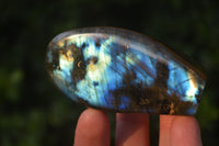 Polished Labradorite Standing Free Forms  x 6 From Tulear, Madagascar - Toprock Gemstones and Minerals 