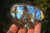 Polished Labradorite Standing Free Forms  x 6 From Tulear, Madagascar - Toprock Gemstones and Minerals 