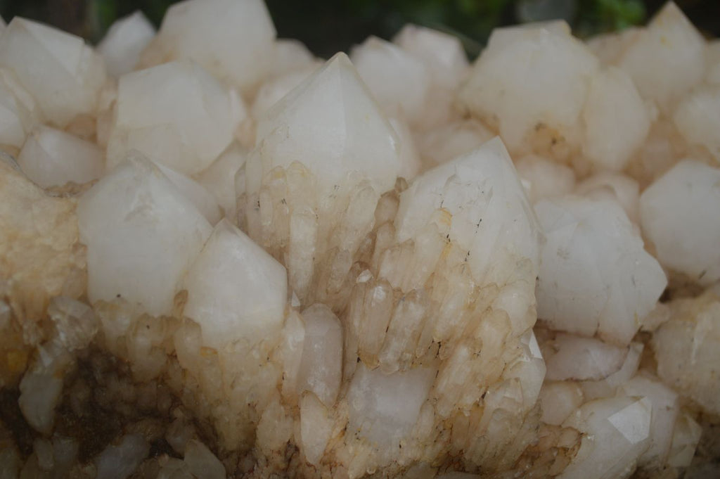 Natural Extra Large Pineapple Quartz Cluster  x 1 From Madagascar - TopRock