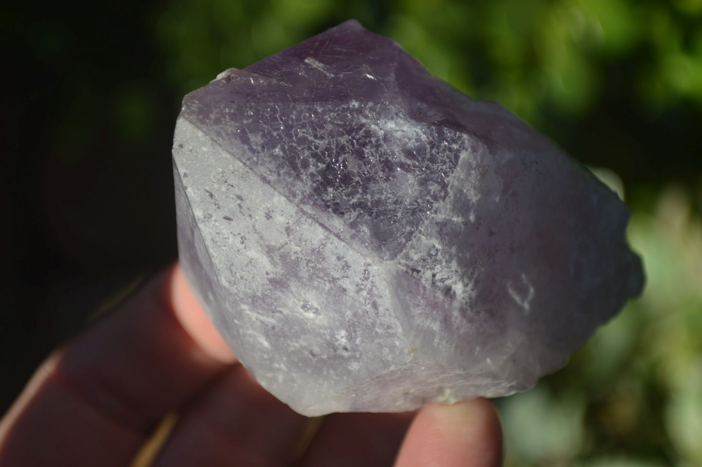 Natural Single Jacaranda Amethyst Crystals x 12 From Zambia - Toprock Gemstones and Minerals 