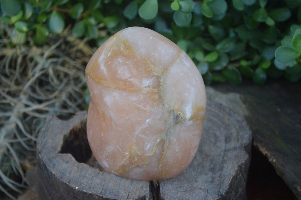 Polished Orange Twist Calcite Standing Free Forms  x 2 From Maevantanana, Madagascar - Toprock Gemstones and Minerals 