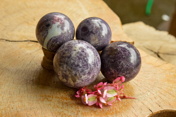 Polished Purple Lepidolite Mica Spheres  x 4 From Madagascar - TopRock