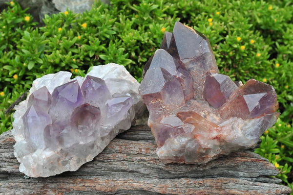 Natural Amethyst Clusters with Tangerine Patina  x 3 From Mumbwe, Zambia - TopRock