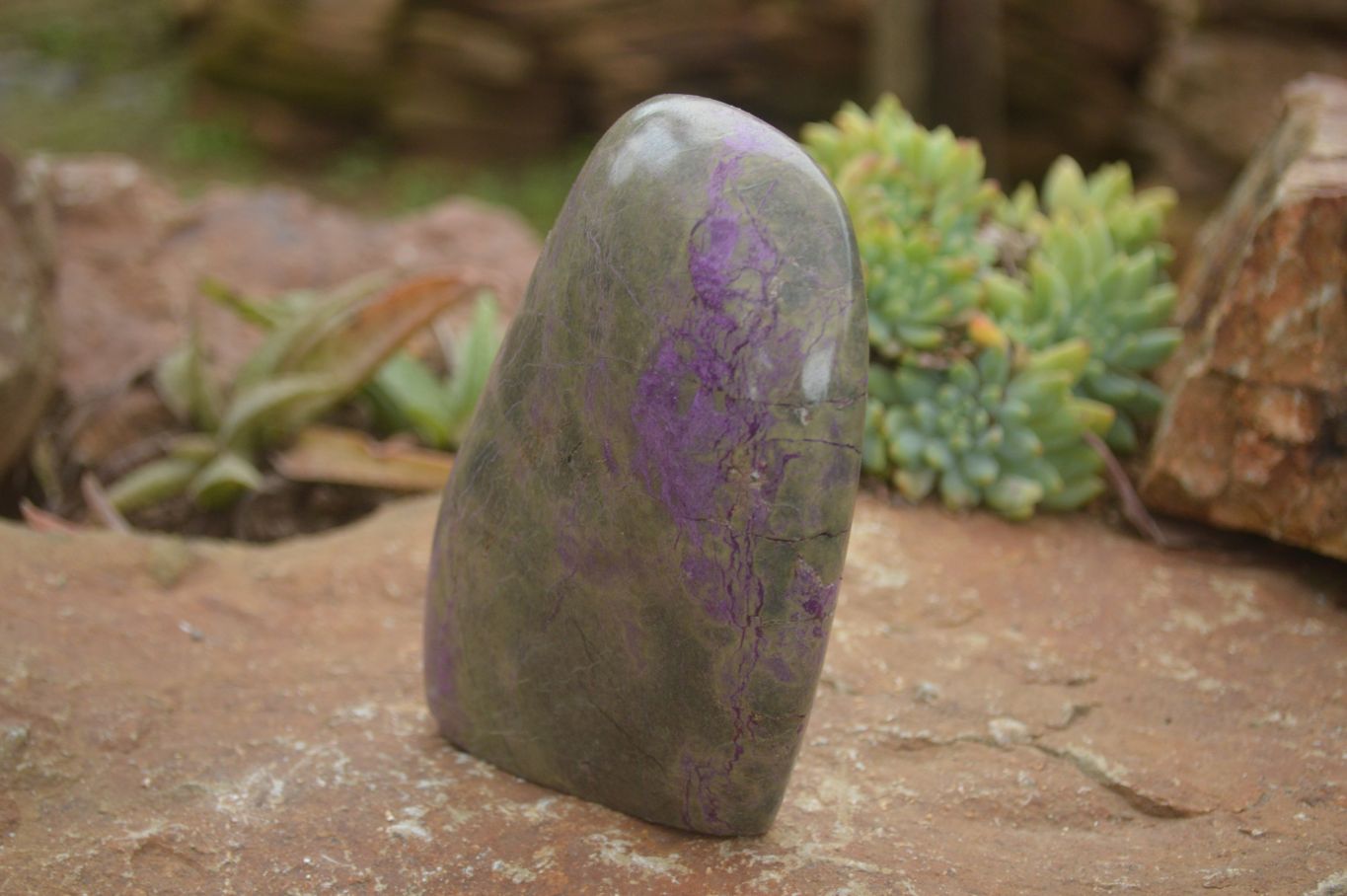 Polished Stichtite & Serpentine Standing Free Forms With Silky Purple Threads  x 3 From Barberton, South Africa - TopRock