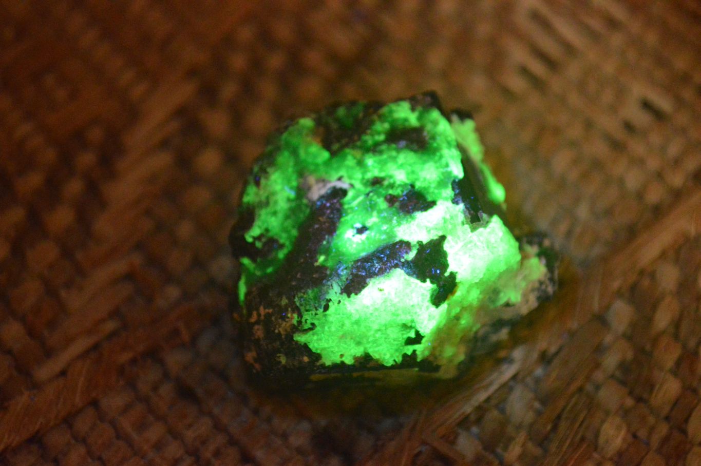 Natural Schorl Black Tourmaline Specimens x 12 From Erongo, Namibia - Toprock Gemstones and Minerals 