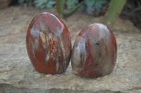 Polished Petrified Wood Standing Free Forms  x 4 From Madagascar - Toprock Gemstones and Minerals 
